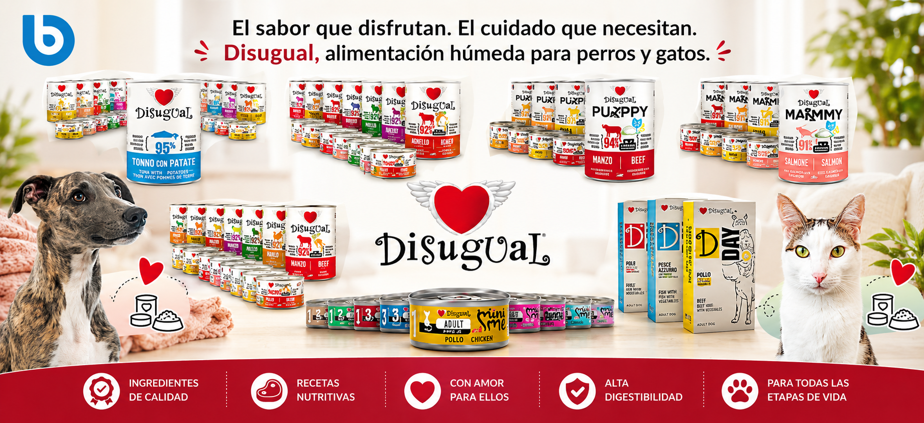 DISUGUAL